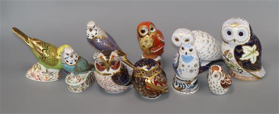 Seven Crown Derby owl paperweights and three budgies